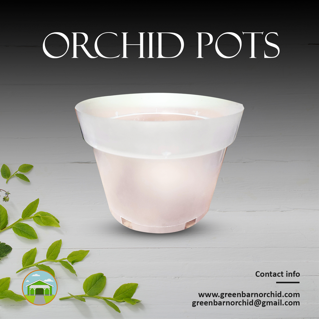 Keep Your Orchids Happy with Clear Orchid Pots